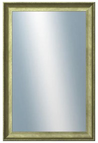 DANTIK - Zrkadlo v rámu, rozmer s rámom 40x60 cm z lišty Ferrosa zlatá (3142)