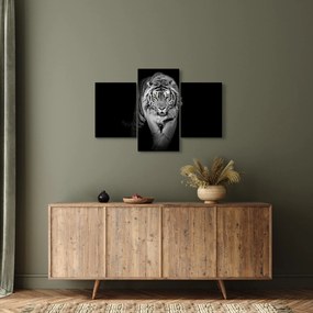 Obraz - Tiger so žltými očami (90x60 cm)