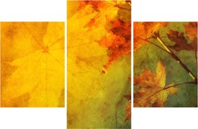 Obraz - Jesenné listy (90x60 cm)