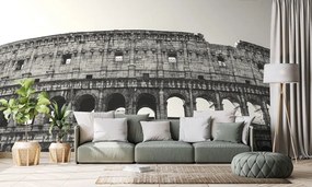 Samolepiaca fototapeta Koloseum v čiernobielom prevedení - 150x100