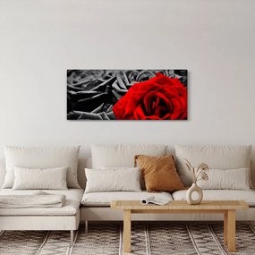 Obraz - Kvety ruží (120x50 cm)
