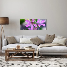 Detailný obraz kvetiny (120x50 cm)