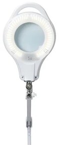 LED Stmievateľná stolná lampa s lupou LED/10W/230V biela