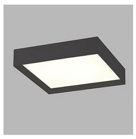 LED2 - LED Stropné svietidlo MILO LED/30W/230V čierna 3000/4000K