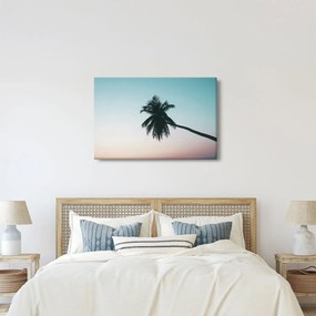 Obraz - Palma na Bali (90x60 cm)