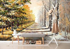 Samolepiaca tapeta jesenná alej stromov