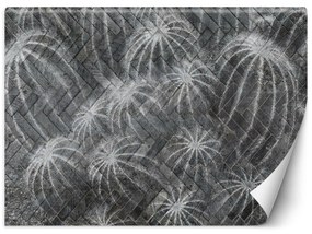 Gario Fototapeta Kaktusy v sivej farbe Materiál: Vliesová, Rozmery: 200 x 140 cm
