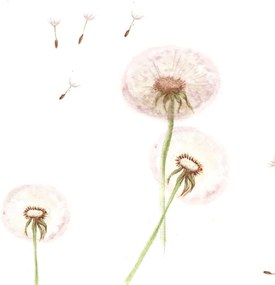 Tapeta púpavy 280x50 cm