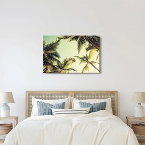 Obraz s kokosovými palmami (90x60 cm)
