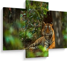 Obraz odpočívajúceho tigra (90x60 cm)