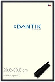 DANTIK rám na obraz 20x30 | ALU Černá matná (Sklo Čiré)