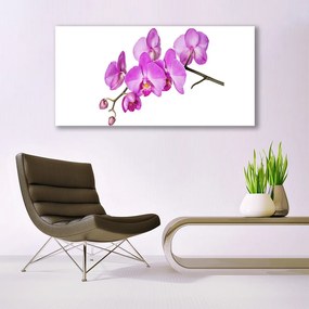 Obraz plexi Vstavač orchidea kvety 120x60 cm
