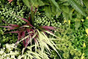 Umelý rastlinný panel RUBY 100 x 100 cm - Panel C 100x100 Europe Grass