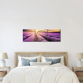 Obraz - Východ slnka v levanduľovom poli (s hodinami) (90x30 cm)