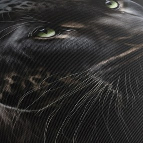 Obraz - Čierny panter (70x50 cm)