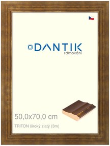 DANTIK rám na obraz 50x70 | TRITON široký zlatý (Plexi Čiré)