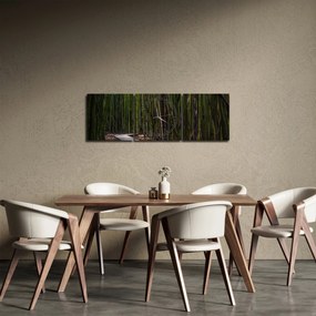 Obraz - Medzi bambusy (s hodinami) (90x30 cm)