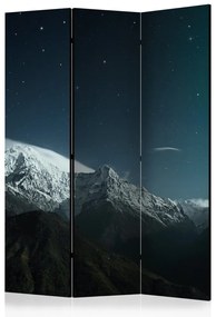 Artgeist Paraván - Northern lights [Room Dividers]