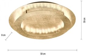 Paul Neuhaus 9621-12 - LED Stropné svietidlo NEVIS LED/24W/230V