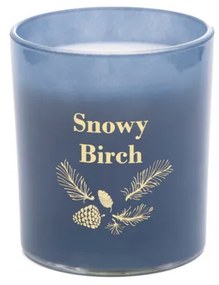 Sviečka LESLI Snowy Birch s vôňou zimného lesa XM22 832432