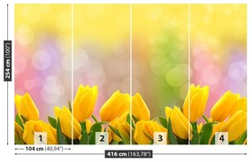 Fototapeta Vliesová Žlté tulipány 250x104 cm