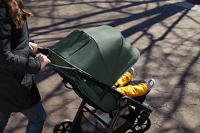 Baby Jogger BabyJogger CITY MINI GT 2 SINGLE -BRIAR GREEN