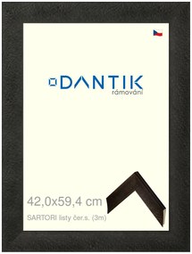 DANTIK rám na obraz 42x59,4 | SARTORI listy čer.s. (Plexi Čiré)