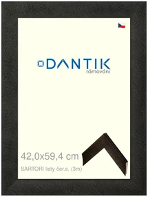 DANTIK rám na obraz 42x59,4 | SARTORI listy čer.s. (Plexi Čiré)