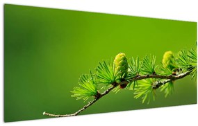 Obraz zelenej šišky (120x50 cm)