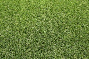 Artificial grass specialists AKCIA: 78x560 cm Umelá tráva Rosemary NEW metrážna - Rozmer na mieru cm