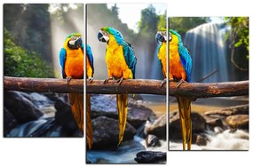 Obraz na plátne - Modro žlté Macaw 1232D (90x60 cm)