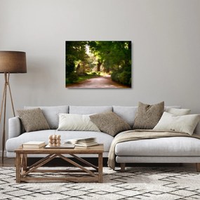 Sklenený obraz parku (70x50 cm)