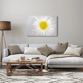 Obraz - Margarita (90x60 cm)