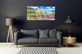 Obraz na skle Hora záliv lúka príroda 125x50 cm