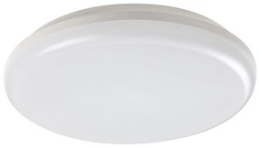 Rabalux 7979 - LED Vonkajšie stropné svietidlo ERIC LED/24W/230V IP64