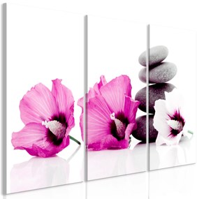 Artgeist Obraz - Calm Mallow (3 Parts) Pink Veľkosť: 60x40, Verzia: Na talianskom plátne