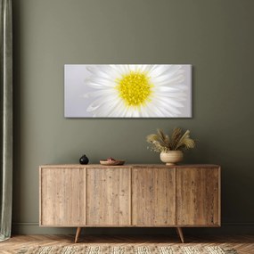 Obraz - Margarita (120x50 cm)