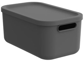 Rotho Úložný box, rovný s vekom, 12 l, antracit ALBU LIGHT, 40 x 24 x 18 cm
