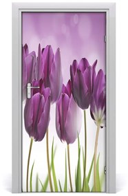 Fototapeta samolepiace fialové tulipány 85x205 cm