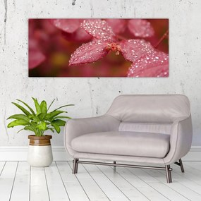 Obraz - Makro snímka lístka (120x50 cm)