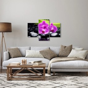 Obraz - Orchidey (90x60 cm)