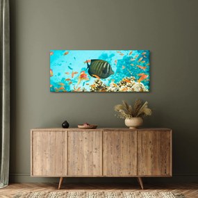 Obraz podmorského sveta (120x50 cm)