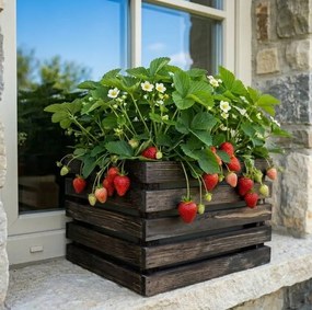 AMADEA Drevený obal s kvetináčom tmavý, 27x27x20cm