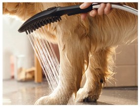 Hansgrohe DogShower - Ručná sprcha pre psa, čierna matná 26640670