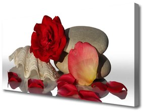 Obraz Canvas Ruže plátky mŕtva príroda 100x50 cm