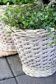 Chic Antique Prútený obal na kvetináč French L