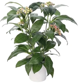 Umelý Fíkus v kvetináči zelená, 30 cm