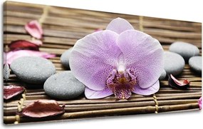 Obraz na stenu PANORÁMA FENG SHUI FS010E13