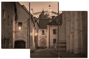 Obraz na plátne - Bratislava staré mesto s hradom vzadu 1265FD (120x80 cm)