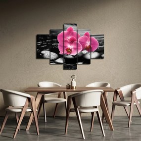 Obraz - Ružové orchidey (150x105 cm)
